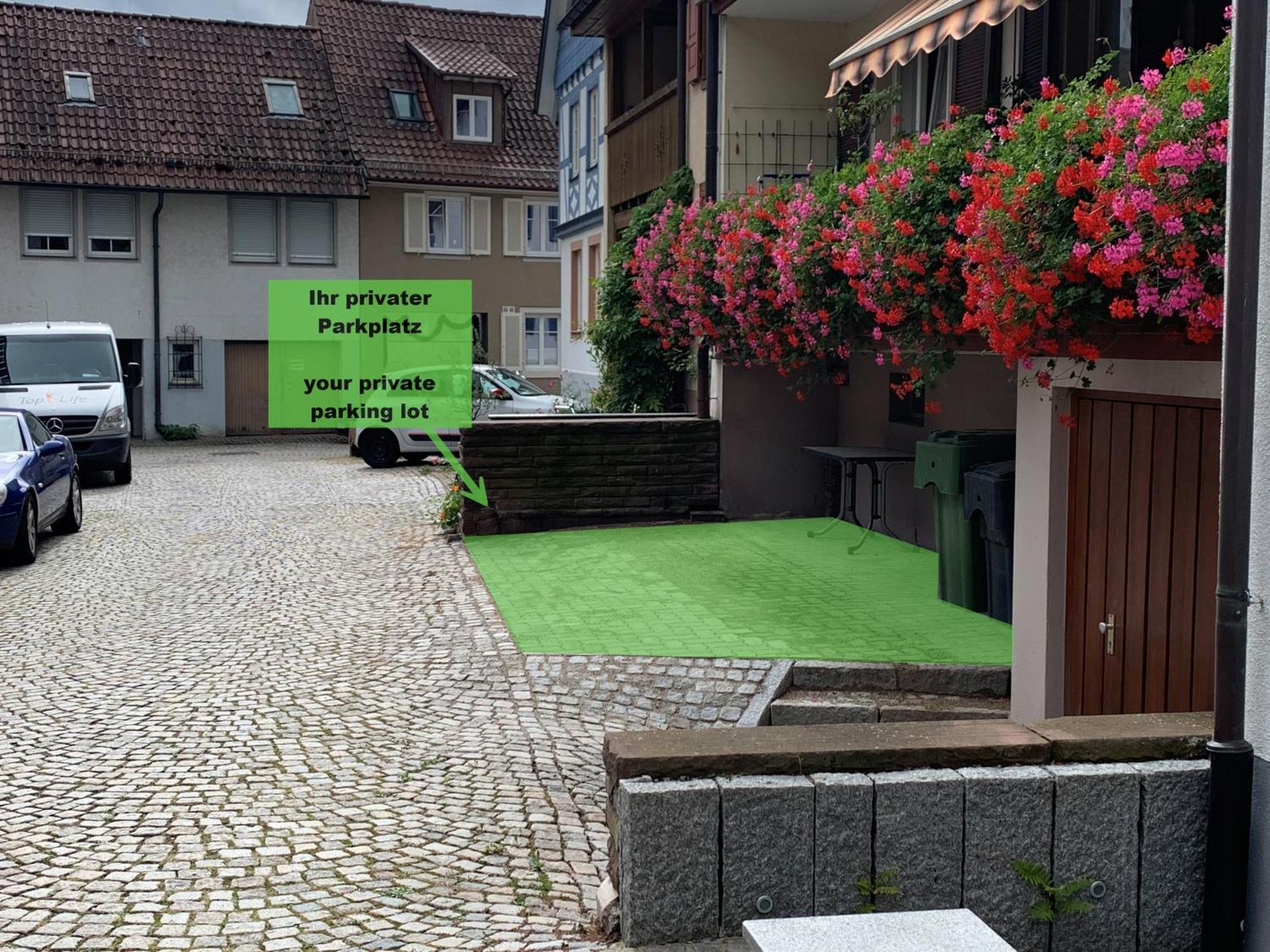 Ferienwohnung Im Staedtle Gengenbach Esterno foto